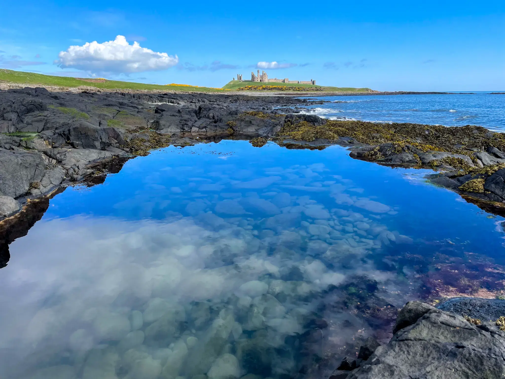 Reflective rock pool with ancient castle ruins visible in the misty distance along the Northumbrian coast, capturing the liminal space between sea and land